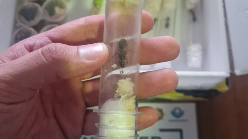  Мемлекеттік кірістер департаменті 