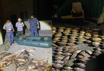 Шу тұрғынынан 100 келіге жуық балық тәркіленді