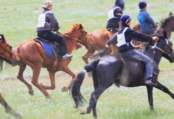 Конституция күніне орай бәйгеден турнир өтеді