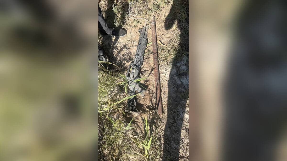 11 единиц огнестрельного оружия изъяли за два дня в Жетісу