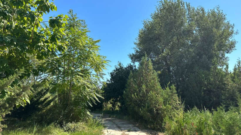  ©Асқар АМАНКЕЛДІ 