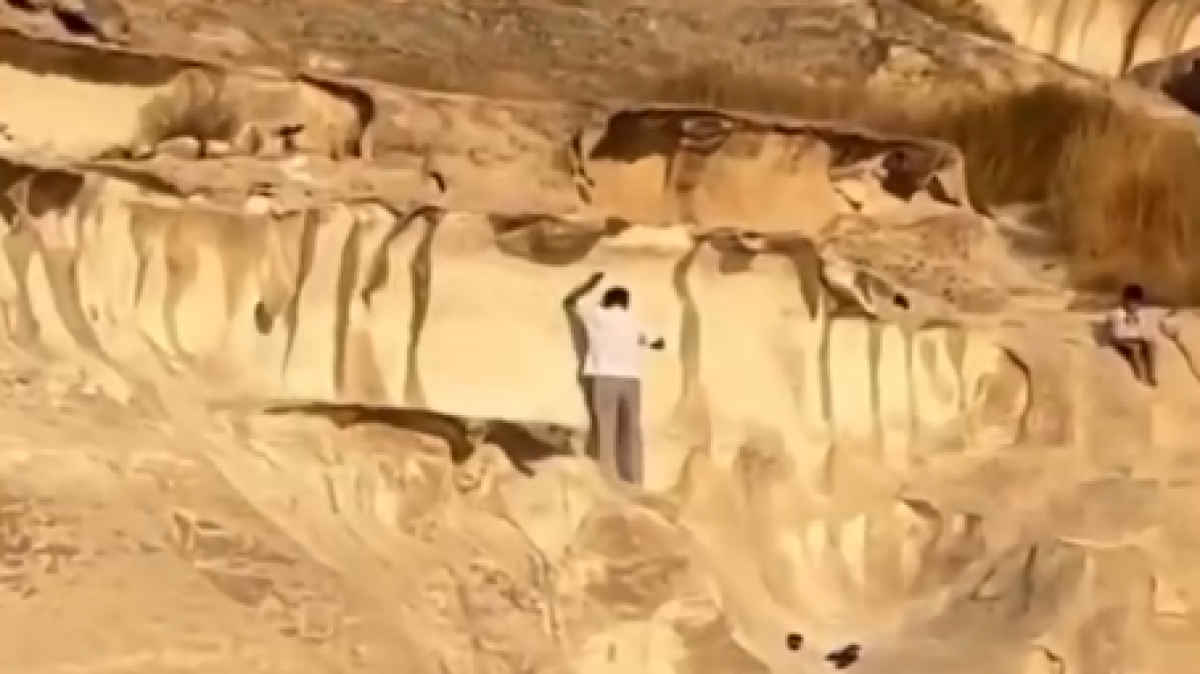  Видеодан алынған кадр 