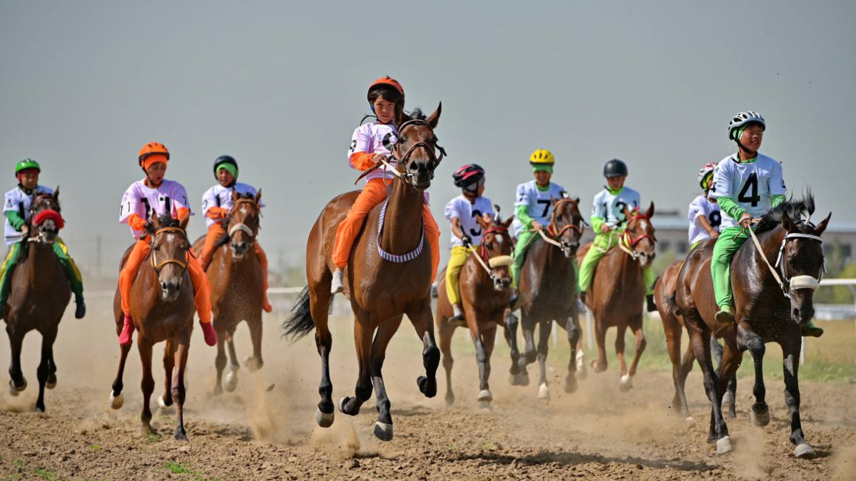  Павлодар облысы әкімдігі 