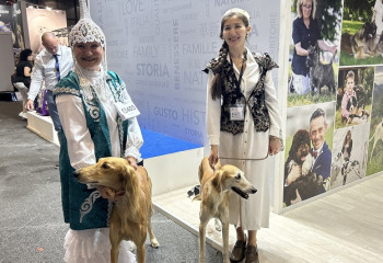 Қазақтың қос тазысы Швейцариядағы әлем чемпионатында титулдарға ие болды