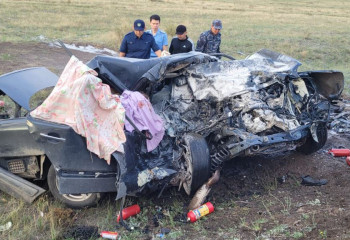 В Карагандинской области 3 человека погибли в ДТП