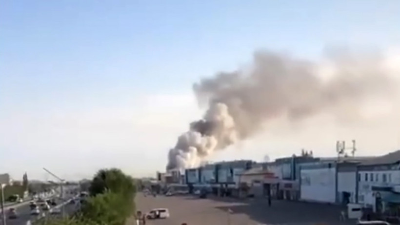  Видеодан кадр 