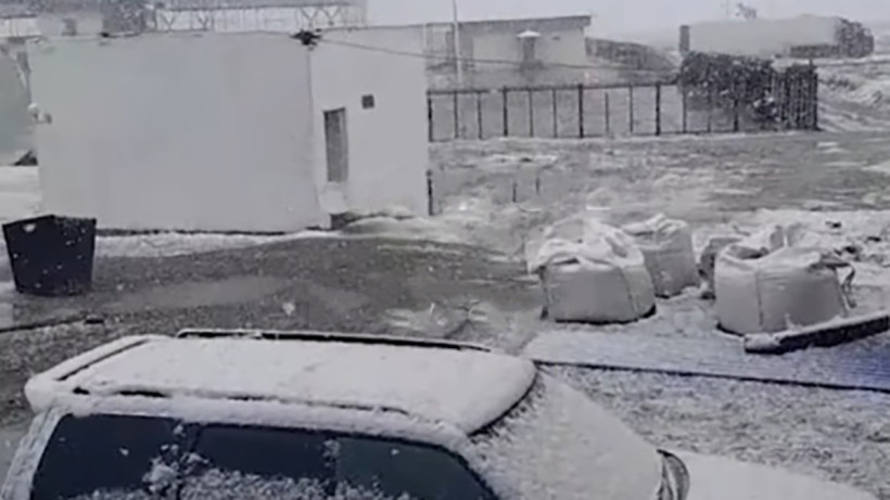  Видеодан кадр 