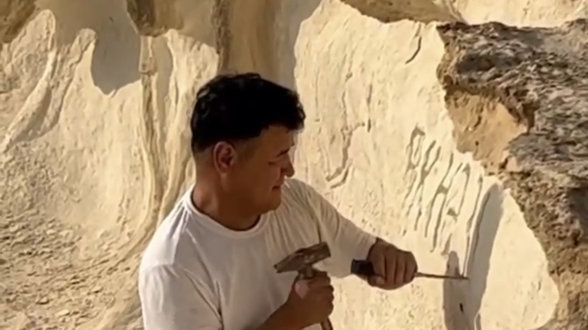  Видеодан кадр 