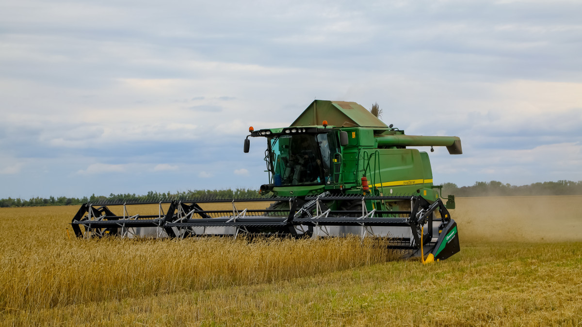 До 3,5 миллионов тонн пшеницы потенциально может закупать Китай у Казахстана