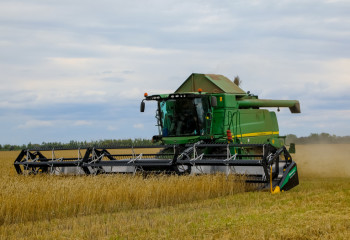 До 3,5 миллионов тонн пшеницы потенциально может закупать Китай у Казахстана