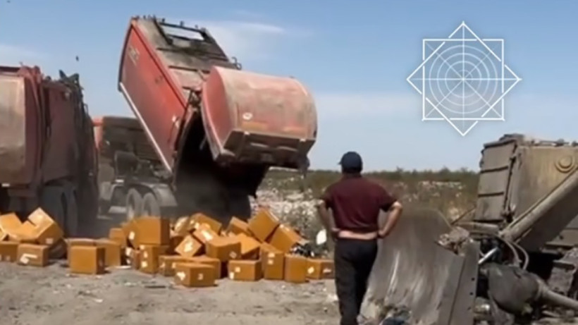  Видеодан кадр 