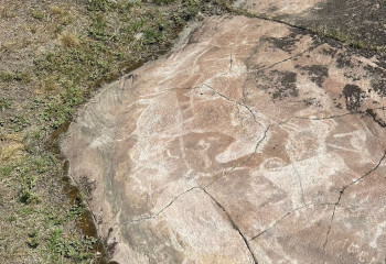 Археолог обнаружил наскальные рисунки в Майкаине во время остановки по нужде
