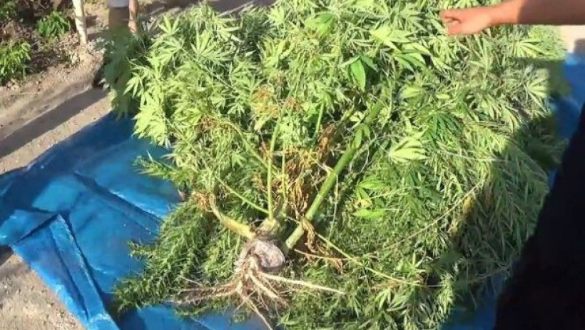  Жамбыл облысы ПД 