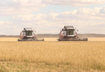 Уборочная кампания идет в Карагандинской области