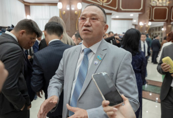 Экономикамызды әртараптандыруды жүзеге асыру керек – депутат