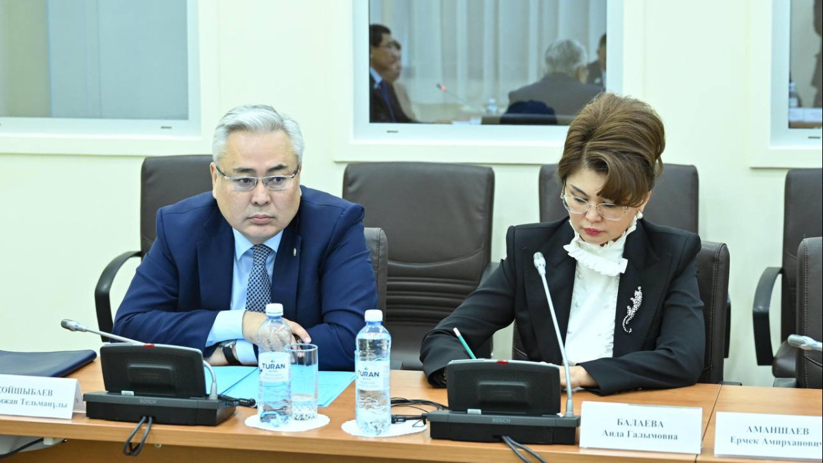 Аида Балаева мәдениет және ақпарат министрі болып тағайындалды