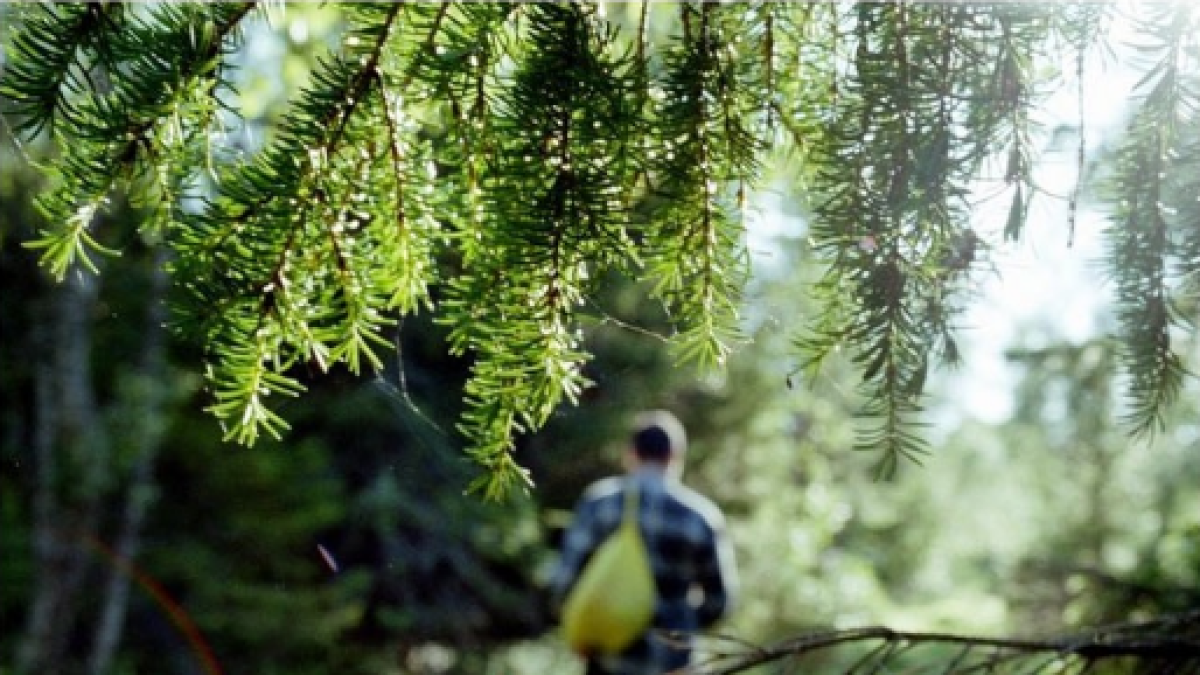  instagram.com/ertisormany_2003 