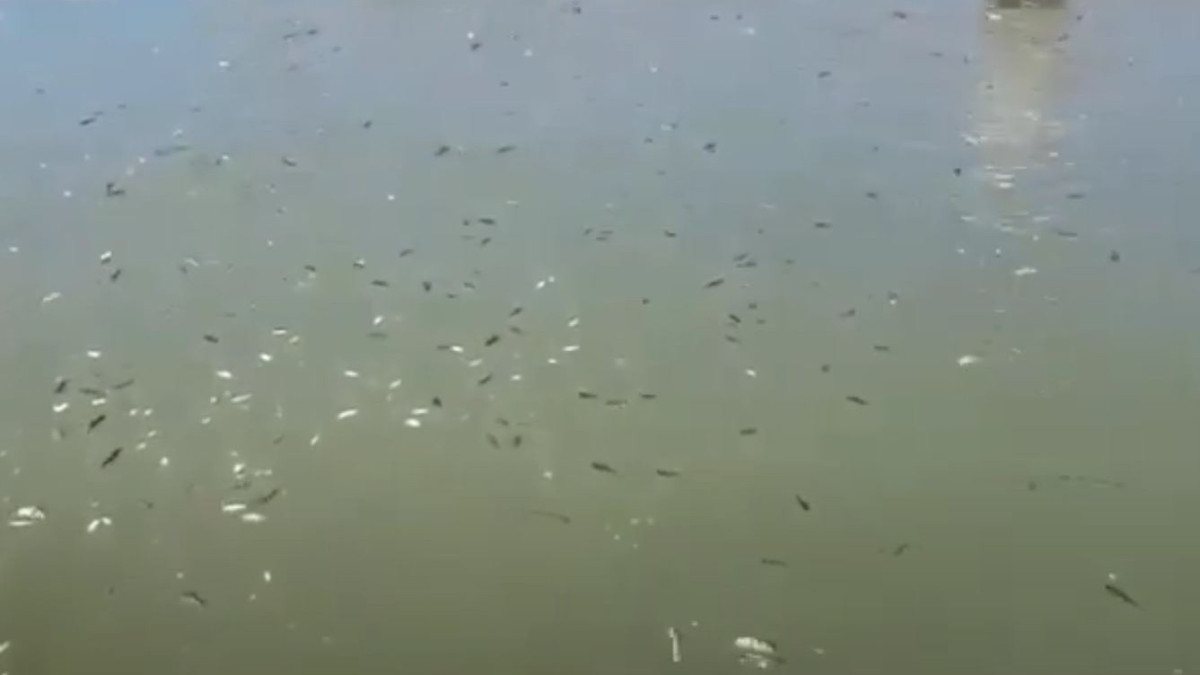  Кадр из видео 