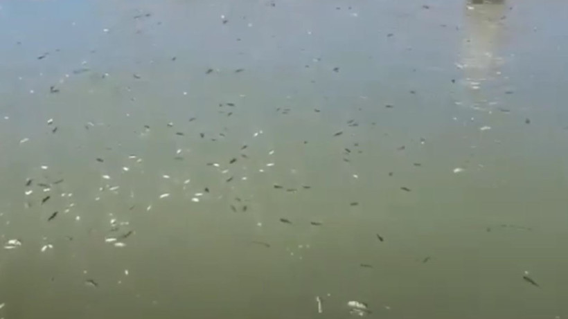  Кадр из видео 