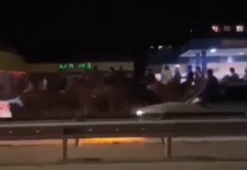 Алматы облысында көшеде көкпар тартқандар ұсталды