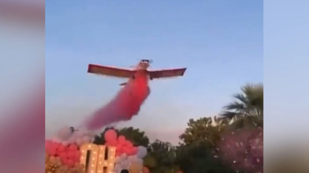  Видеодан кадр 