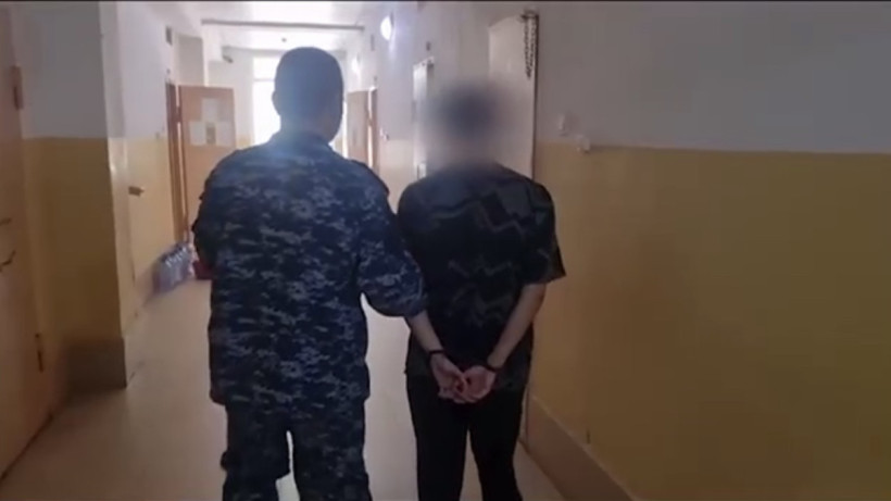  Видеодан кадр 