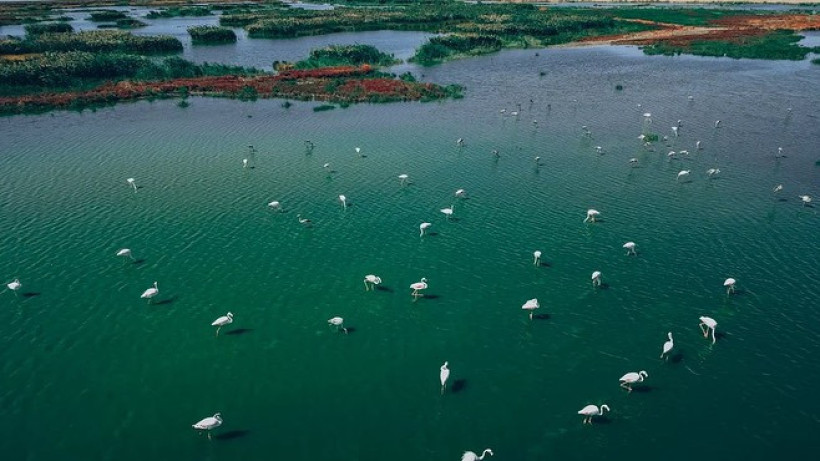  facebook.com/rscatyrau 