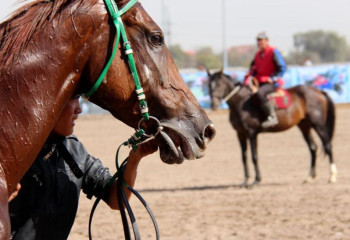 Astana hosts  main event in national sports