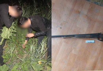 Қызылордада канал жағасынан екі есірткі алқабы анықталды