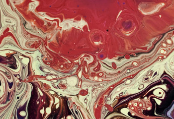 На территории заповедного фонда Актюбинской области планируется проведение разведки нефти