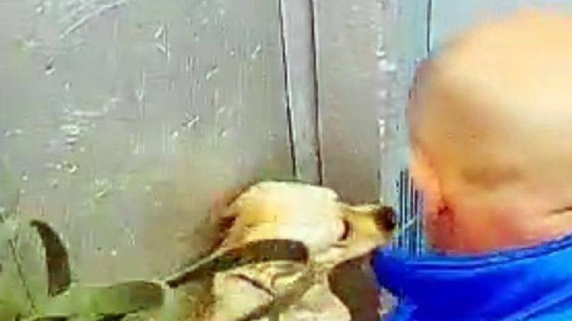  Видеодан алынған кадр 