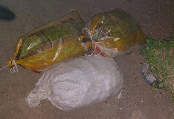 Мужчина выкопал и вывез 400 кг картофеля с чужого огорода в Актюбинской области