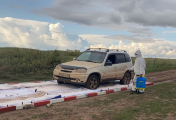 В Минсельхозе опровергли фейки вокруг сибирской язвы в Акмолинской области