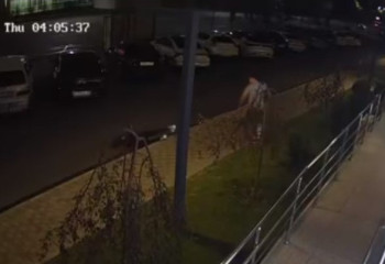 Сына Даулета Турлыханова обвинили в избиении девушки - что на это ответил депутат