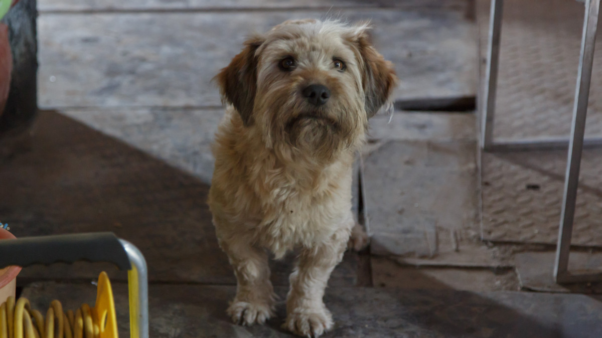  ©El.kz/Артем ЧУРСИНОВ 