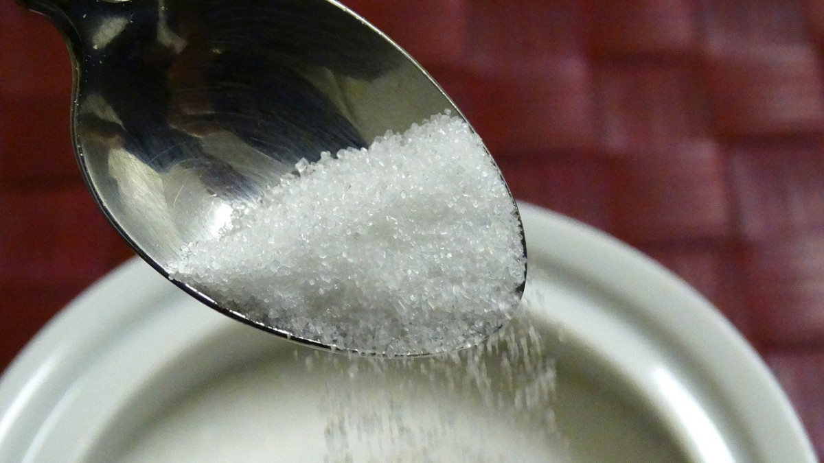 Какие меры господдержки действуют в сахарной отрасли