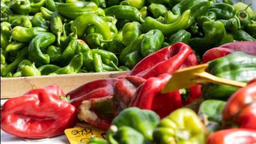  Астана қаласы әкімдігі 