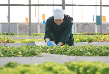 Жетісу облысында агроөнеркәсіп кешенін қолдауға 30 млрд теңге бөлінді