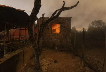 В Греции подсчитывают ущерб от лесных пожаров