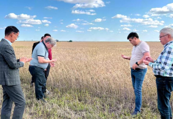 Какую помощь окажет МСХ фермерам Костанайской области