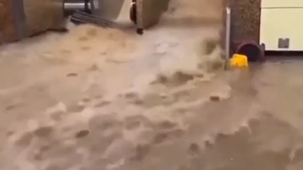  Видеодан алынған кадр 