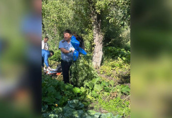 За выращивание марихуаны задержан 49-летний житель Текели