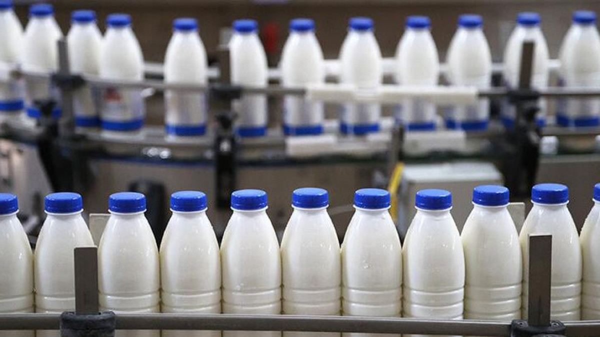 Производителя молока оштрафовали в Жетысуской области