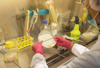 Информация о поддельных лекарствах в Казахстане – фейк