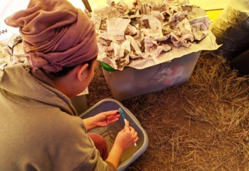 Уникальные находки обнаружили в Уштогайском квадрате