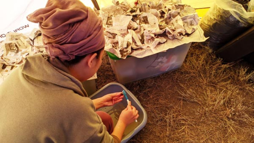  © Наша газета 