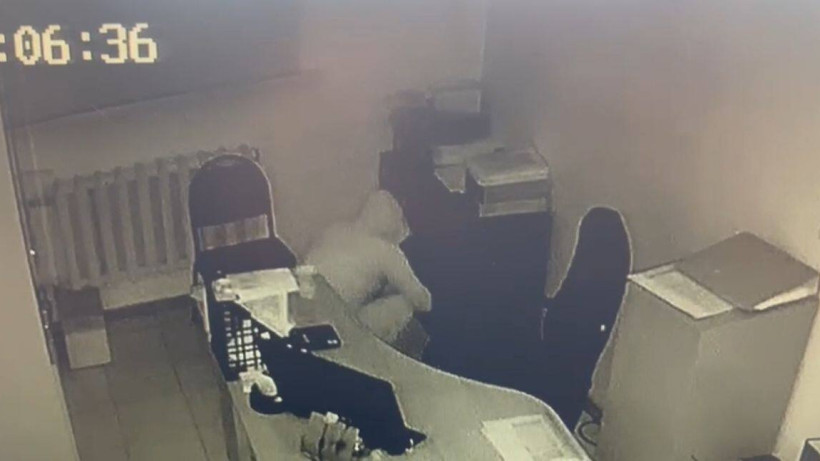  видеодан алынған кадр 