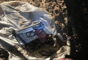 Пистолет обнаружили в кустах сотрудники столичного ДУИС