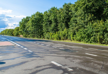 Шымкентте 48 шақырымдық айналма жол жүргізіледі