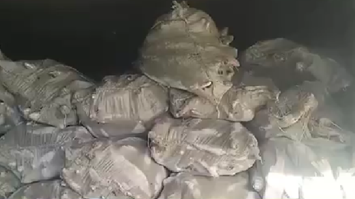 ШҚО тұрғыны 7 тоннадан астам балықты заңсыз тасымалдаған